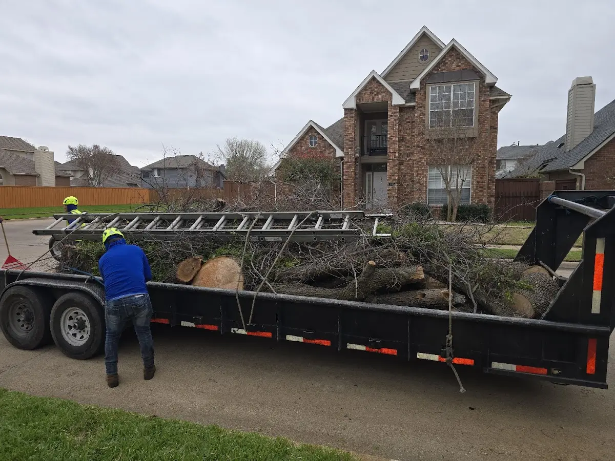 Expert Tree Removal with proper safety equipment in Ryder